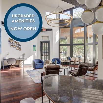 Updated community apartment clubhouse lounge with lush seating, chandelier, and recent amenities upgrade